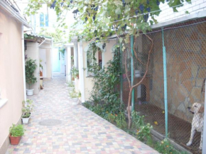 Guest House on Novorossiyskaya 158